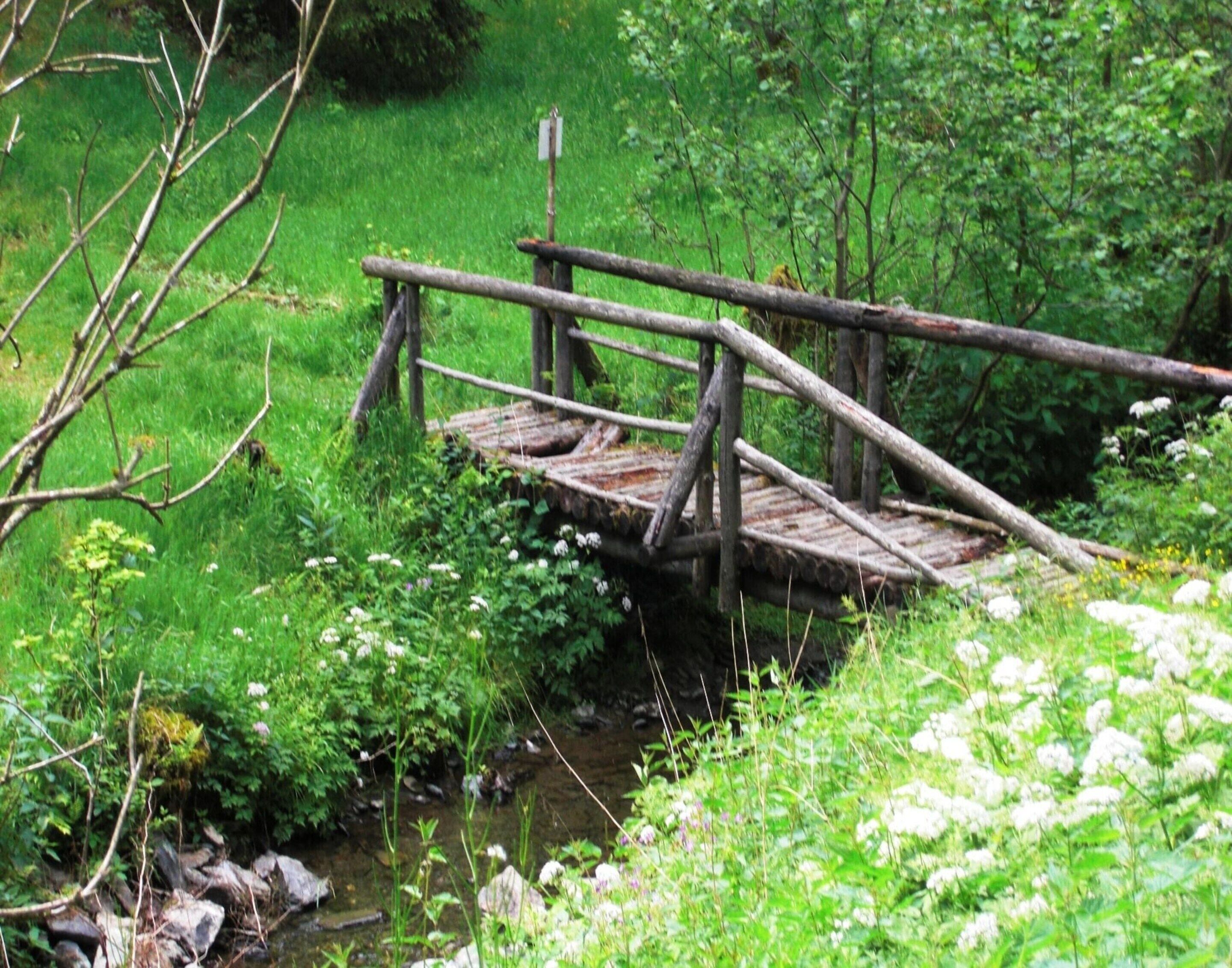 A rustic wooden bridge over a small stream in a lush green forest.