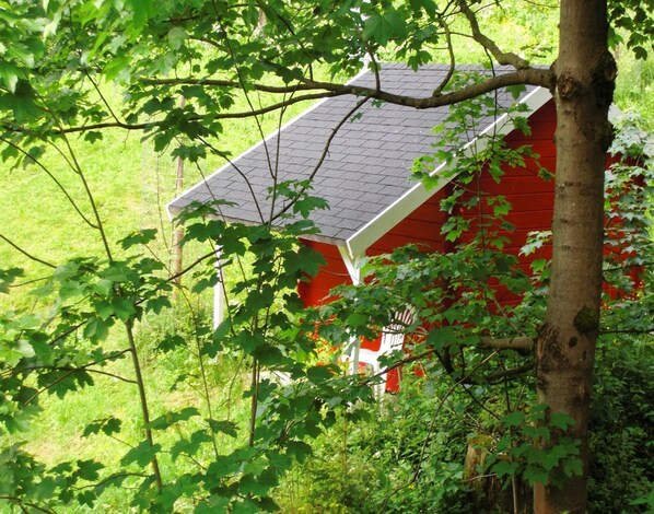 Ferienhaus | Unterkunftsgelände