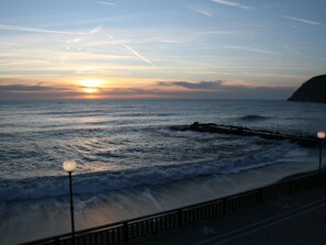 Vista desde la propiedad