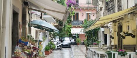 House | View from property