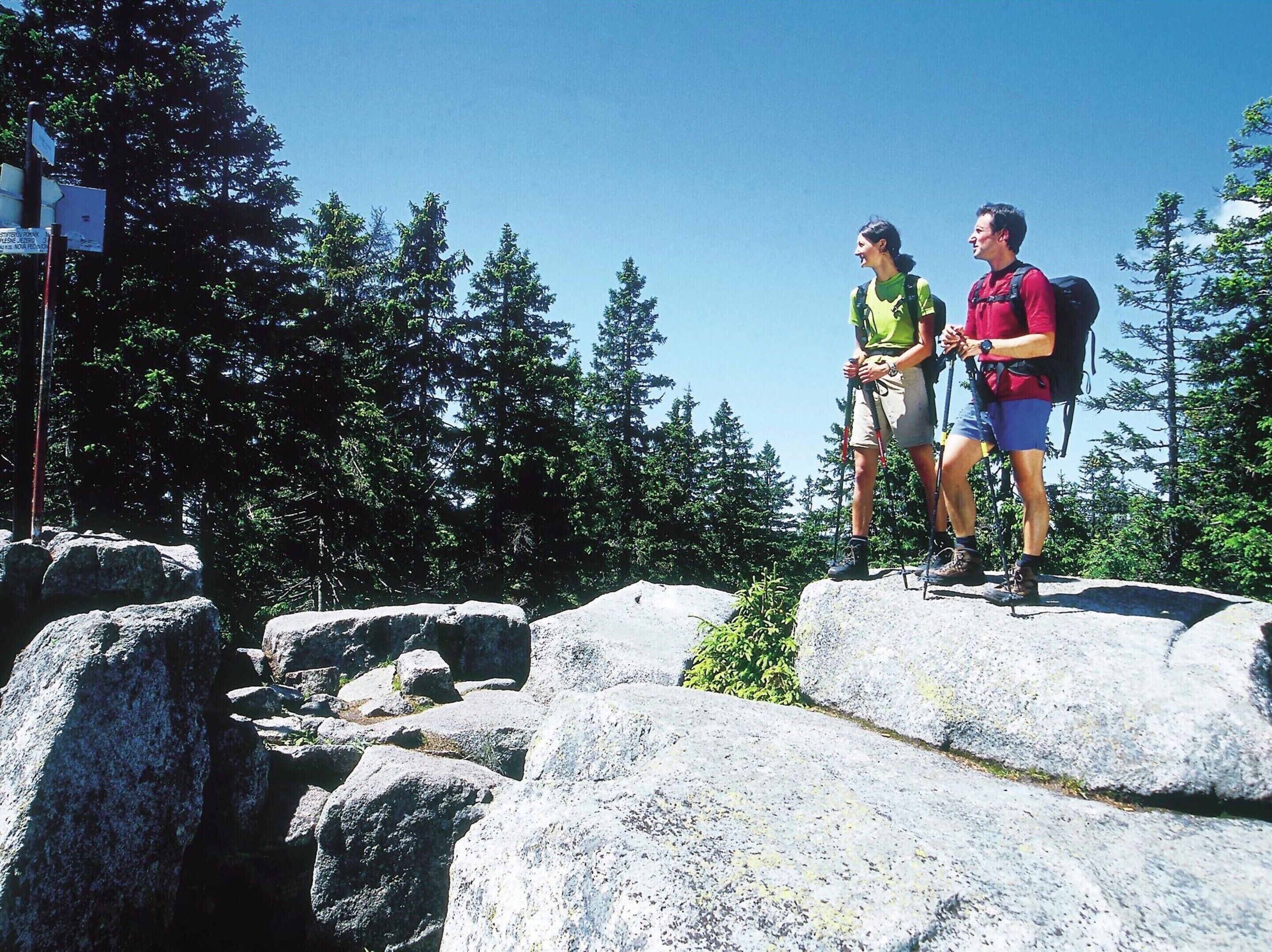 Two hikers on a rocky outcrop with a forest in the background.