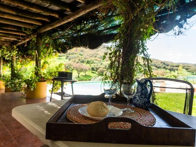 Farmhouse in Montemor-o-novo With Pool