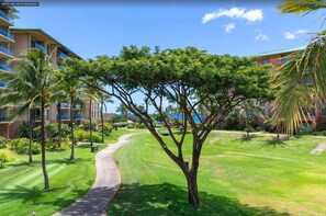 Property grounds - Welcome to 2 Luana Garden Villas 1C &1D Oceanfront resort Partial ocean Views (Lahaina)