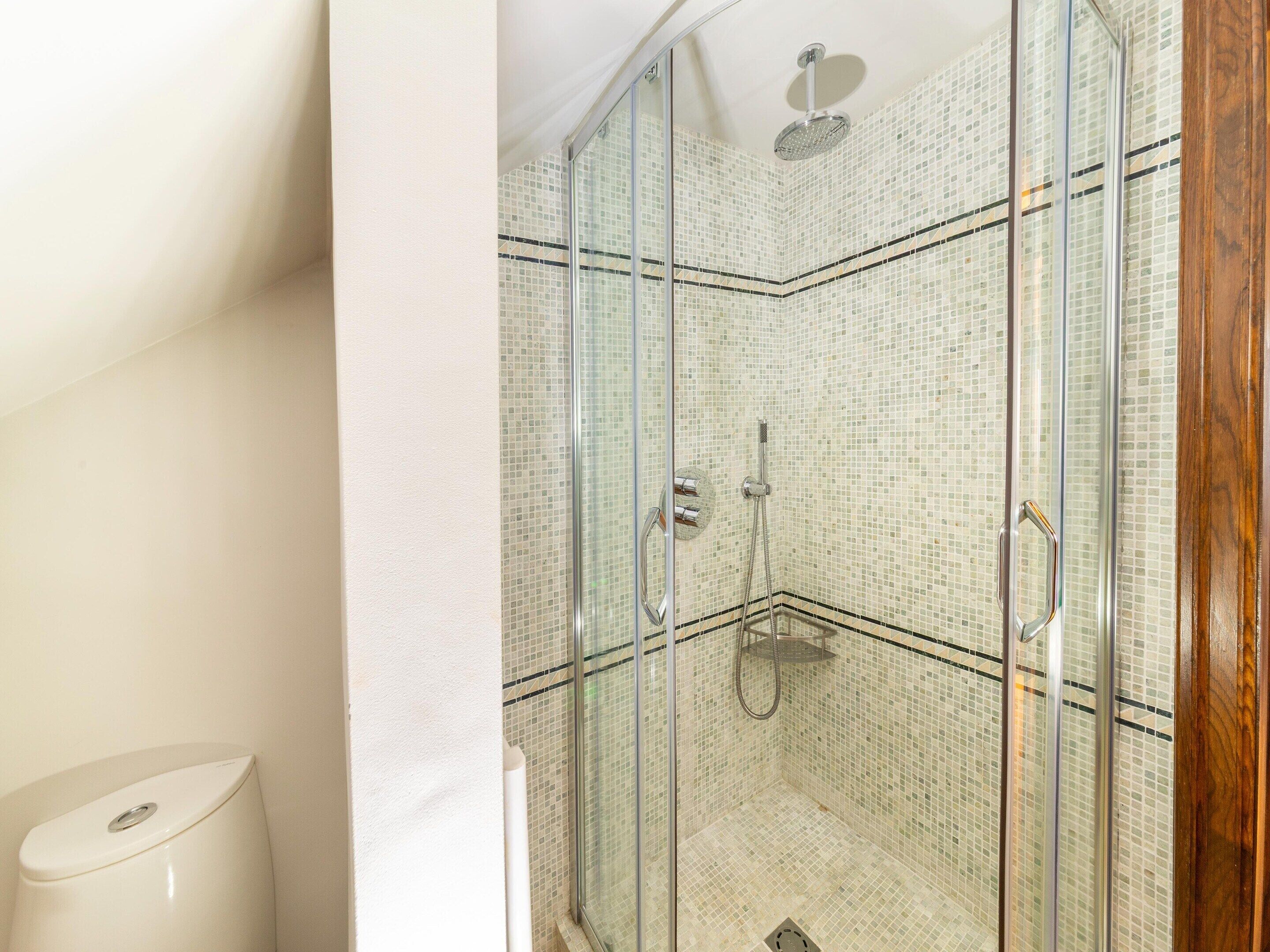 A glass-enclosed shower with mosaic tile walls, a white toilet, and a wooden door frame.