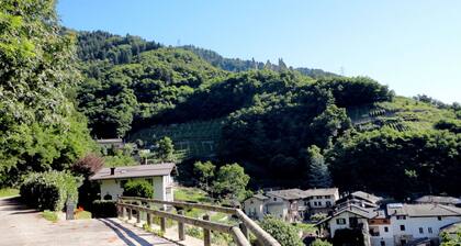 Apartment in Levico Terme With Balcony, Garden, Fireplace