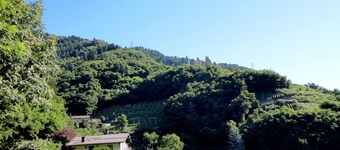 Apartment in Levico Terme With Balcony, Garden, Fireplace