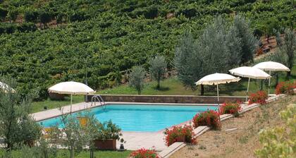 Belvilla by OYO Holiday Home With Pool in Tuscany