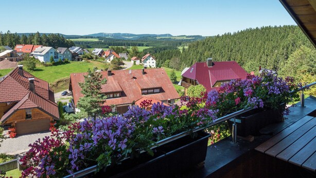 A residential area with houses, a balcony with flowers, and a view of a forested valley. - Lush Apartment in Furtwangen near Black Forest with Balcony (Furtwangen)