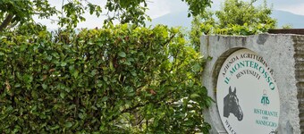 Unique Holiday Experience in Greenery near Lake