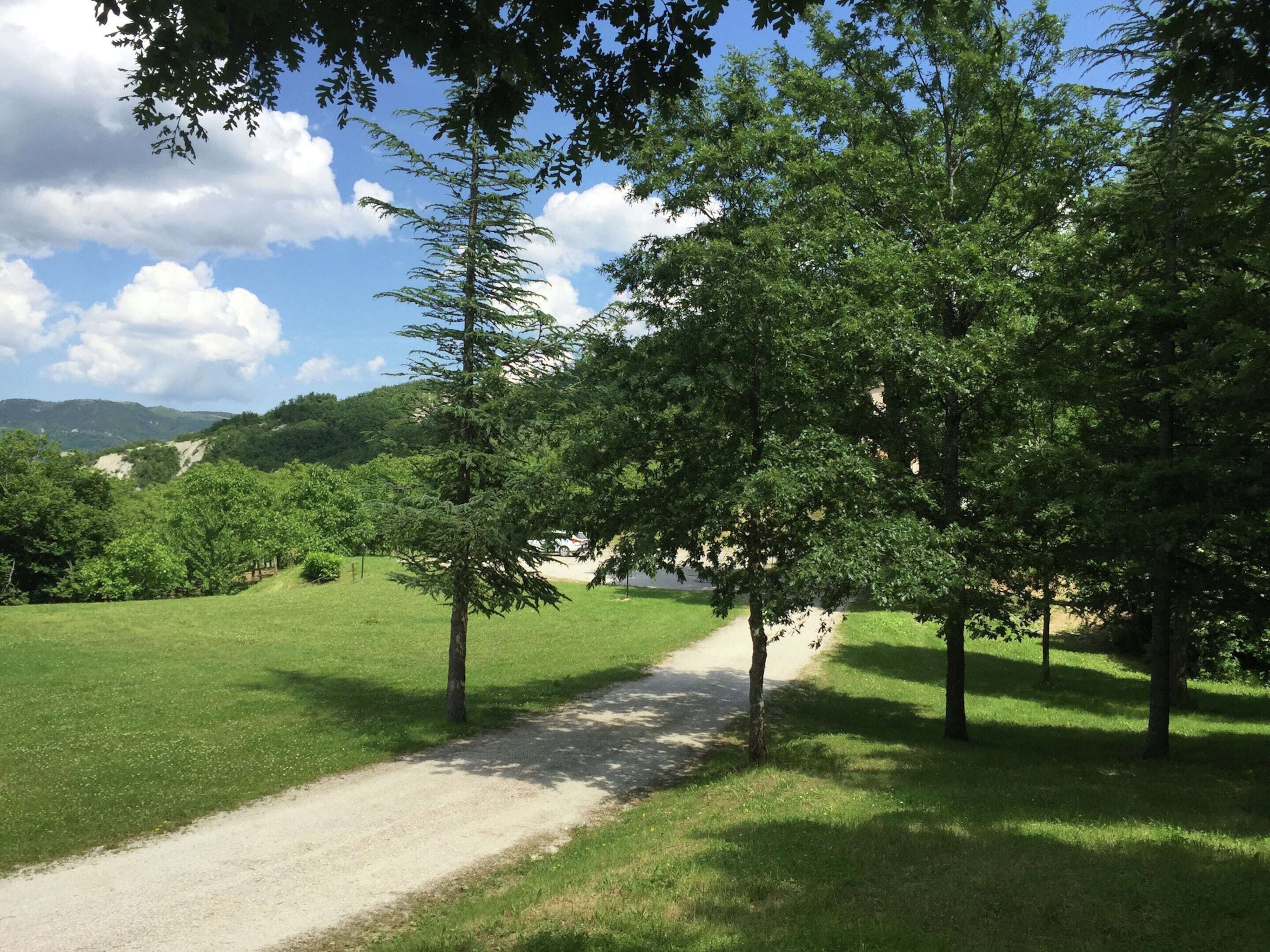 A dirt path leading through a grassy area with trees and a distant view of mountains.