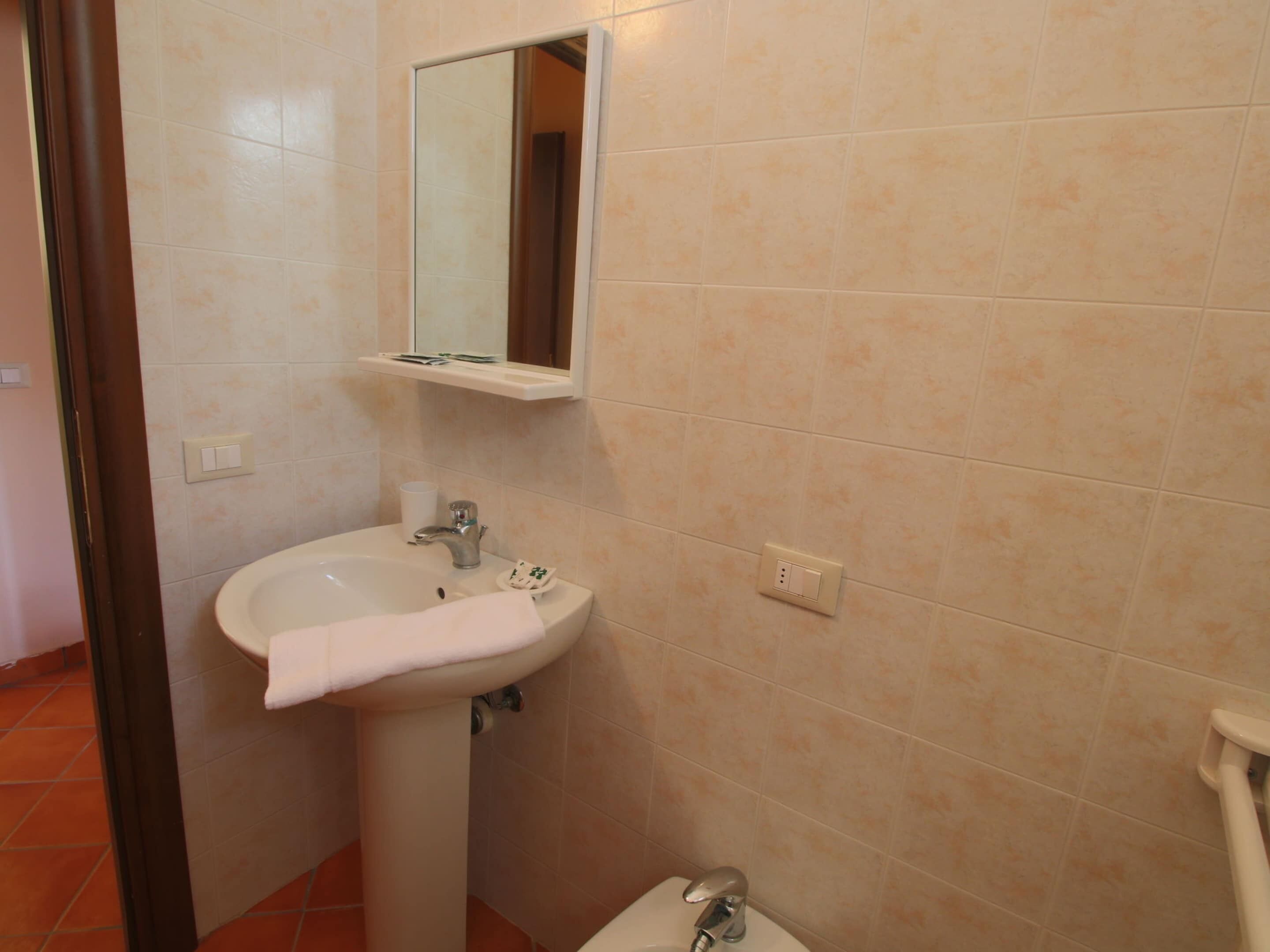 A bathroom with a sink, mirror, and toilet.