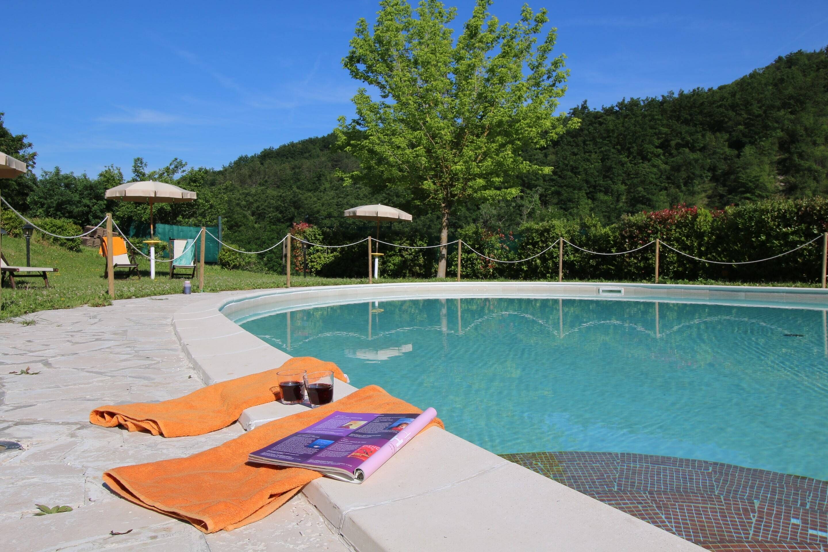 Piscina com espreguiçadeiras e guarda-sóis, cercada por vegetação.