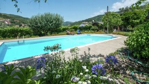 Unclassified image, 2 of 37, button - Holiday Home for two in Idyllic Garden With Saltwater Swimming Pool (Castro Daire)