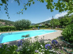 Outdoor pool - Holiday Home for two in Idyllic Garden With Saltwater Swimming Pool (Castro Daire)