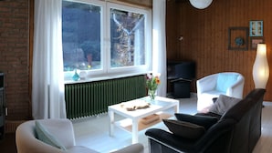 Chalet | Sala de estar | Chimenea y reproductor de DVD 