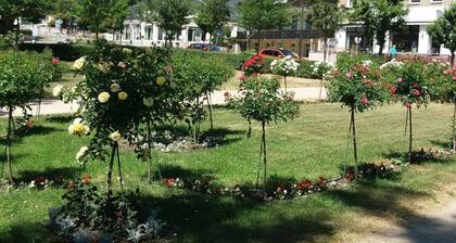 Nature & Wellness in Sohl