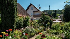 A garden with various flowers and plants, a pathway, and houses in the background. - Cheerful Apartment near Historic City Center of Haslach (Haslach im Kinzigtal)