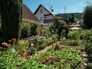 Appartement | Jardin