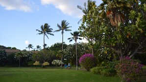 A lush garden with palm trees, flowering plants, and a well-maintained lawn.