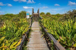 Walk along the boardwalk surrounded by lush greenery.