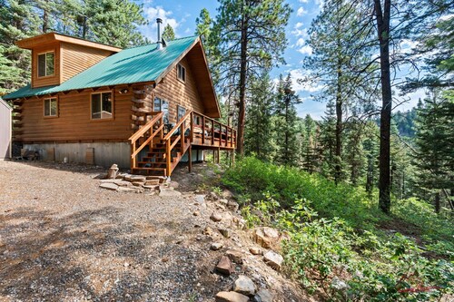 Secluded Cozy Cabin, Pet Friendly, 20 Min to Durango, 10 to Vallecito!