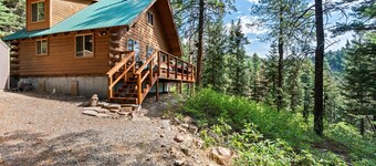 Secluded Cozy Cabin, Pet Friendly, 20 Min to Durango, 10 to Vallecito!