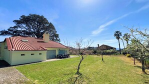 Une maison avec un toit recouvert de tuiles rouges, une allée pavée et une pelouse bien entretenue, agrémentée de jeunes arbres.