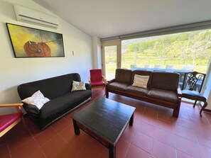 Smart TV, fireplace, books