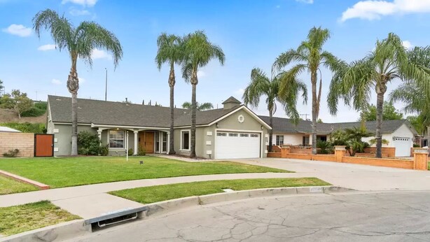 A residential area with houses, palm trees, and a driveway. - *Reduced Pricing* Spacious Disney Vacation w/ Game Room (Orange)