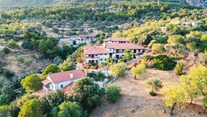 Propiedad en una ladera con varias construcciones, rodeada de árboles y terreno rocoso.