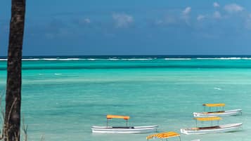 Vue sur la plage/l’océan