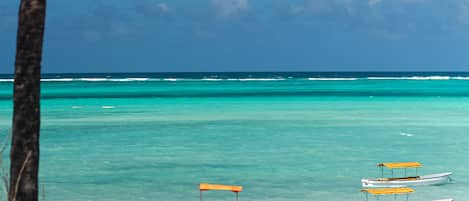 Vue sur la plage/l’océan