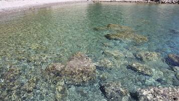 Ubicación cercana a la playa y tumbonas