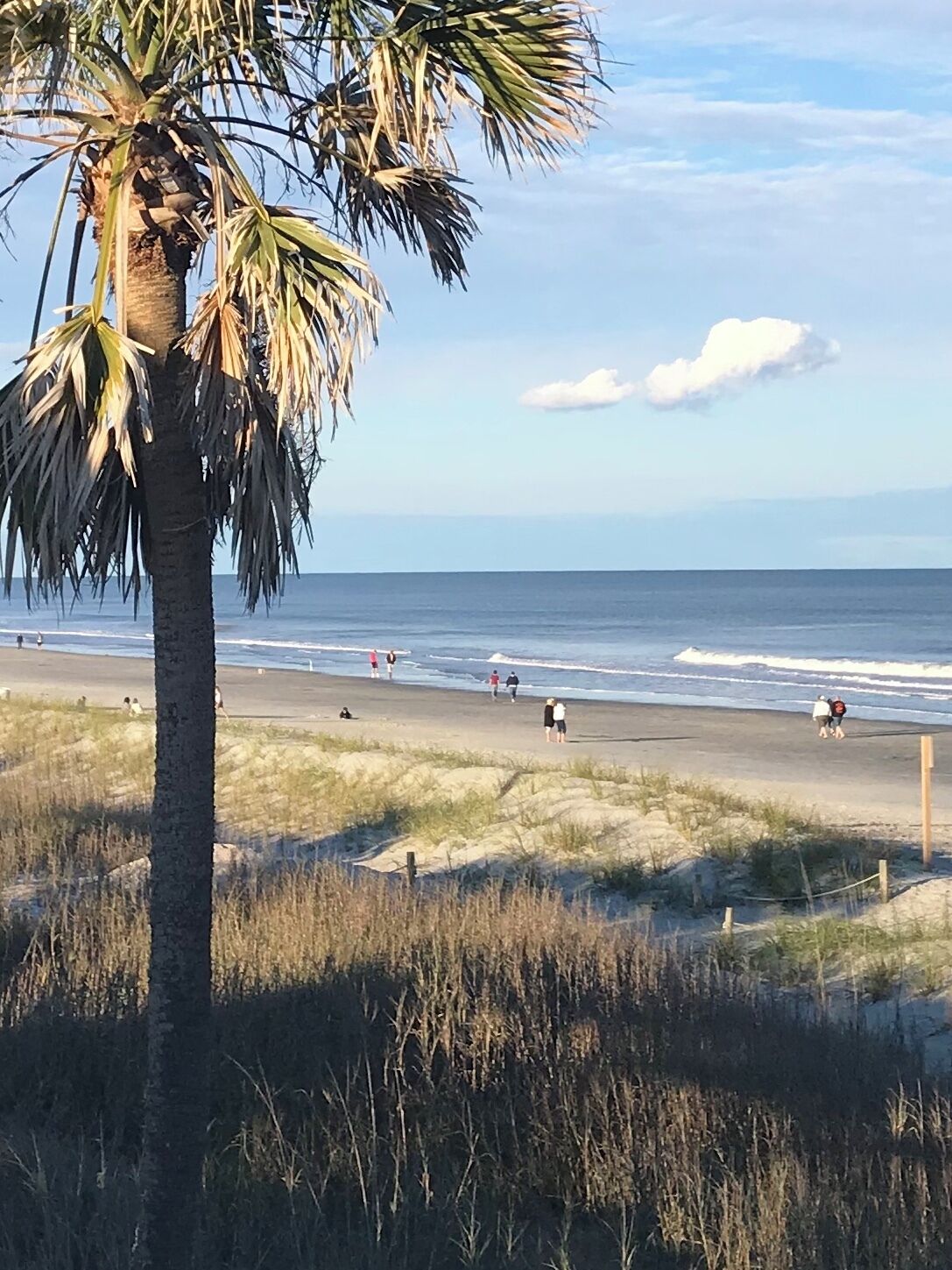 Perto da praia, espreguiçadeiras 