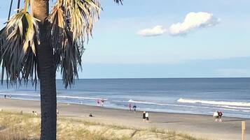 Perto da praia, espreguiçadeiras