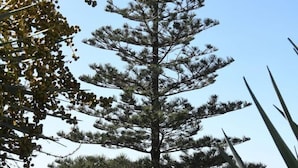 숙박 시설 구내