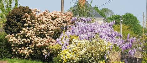 Overnattingsstedets uteområder