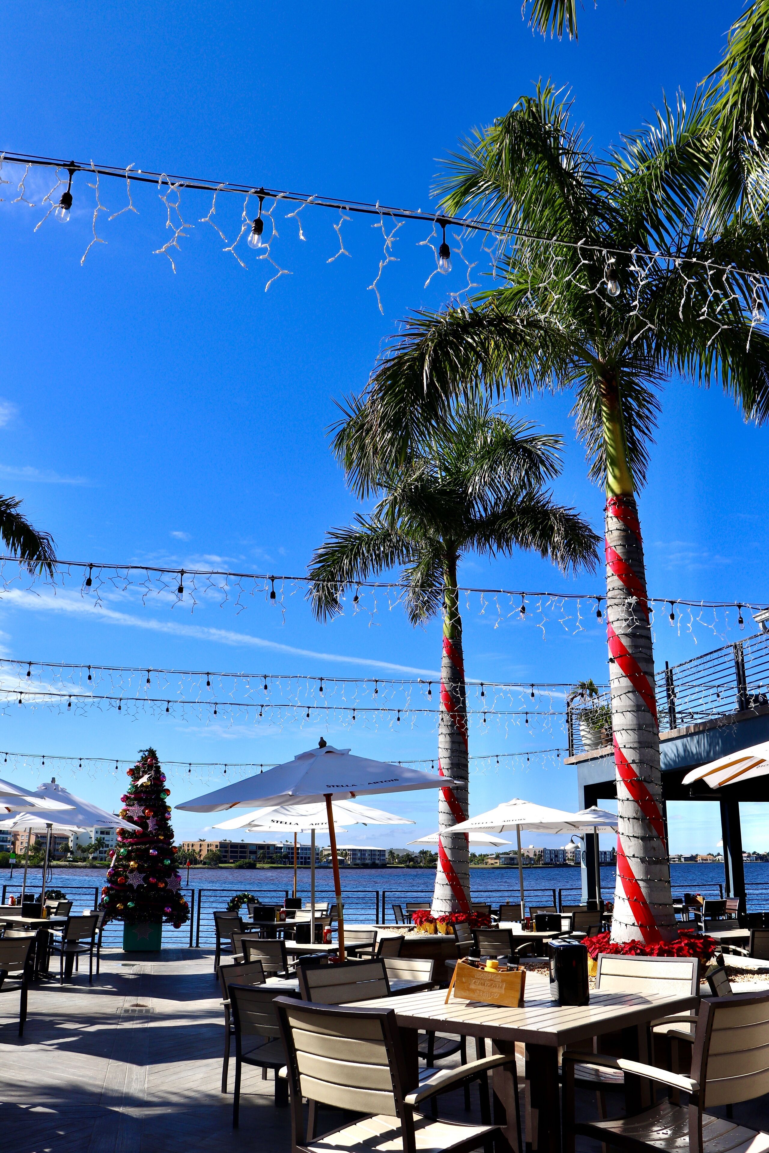 An outdoor dining area with tables and chairs, palm trees, a Christmas tree, and a view of the water.