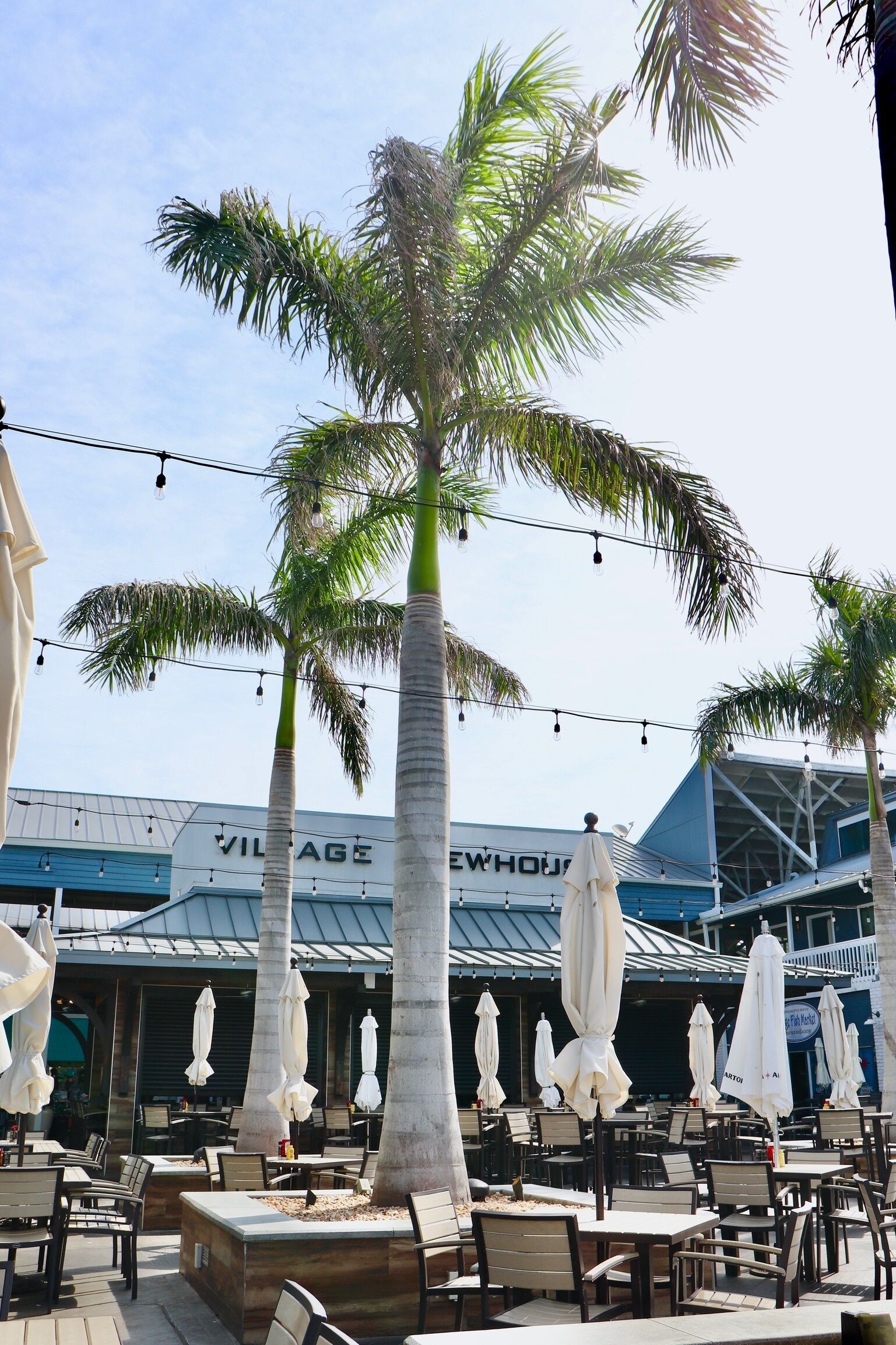 An outdoor seating area with palm trees and umbrellas, a 'VILLAGE' sign, and a building with a blue roof in the background.