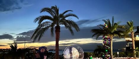 A beach scene with palm trees, a large transparent sphere, and a sunset in the background.