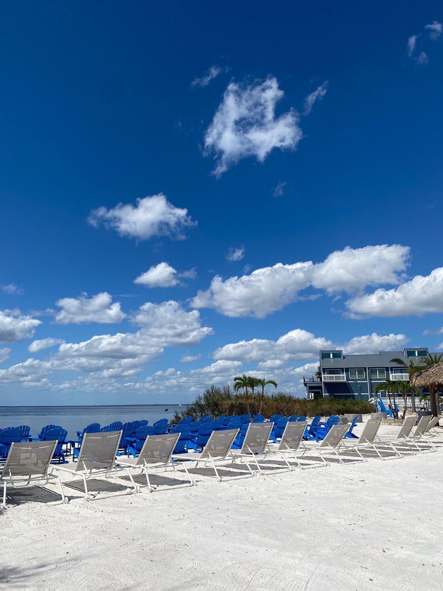 A beach with rows of blue lounge chairs and a building with a balcony overlooking the ocean.