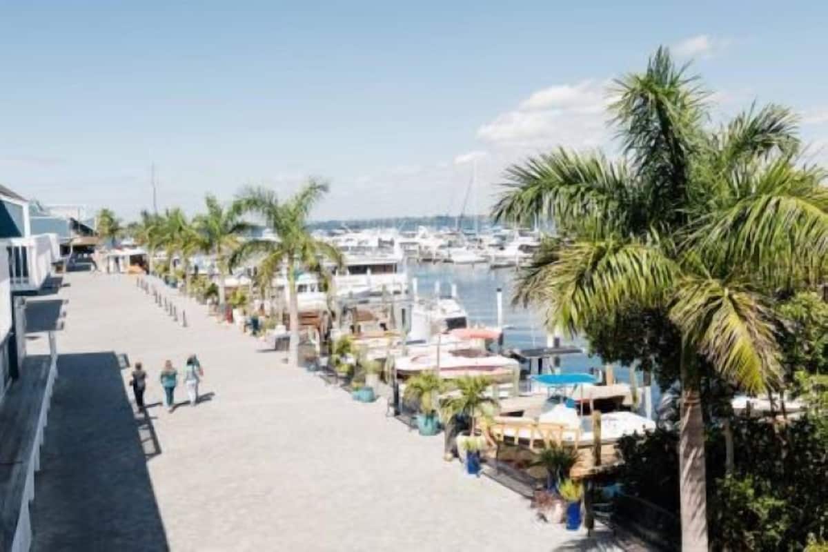 A marina with boats docked, a walkway lined with palm trees, and a few people walking.