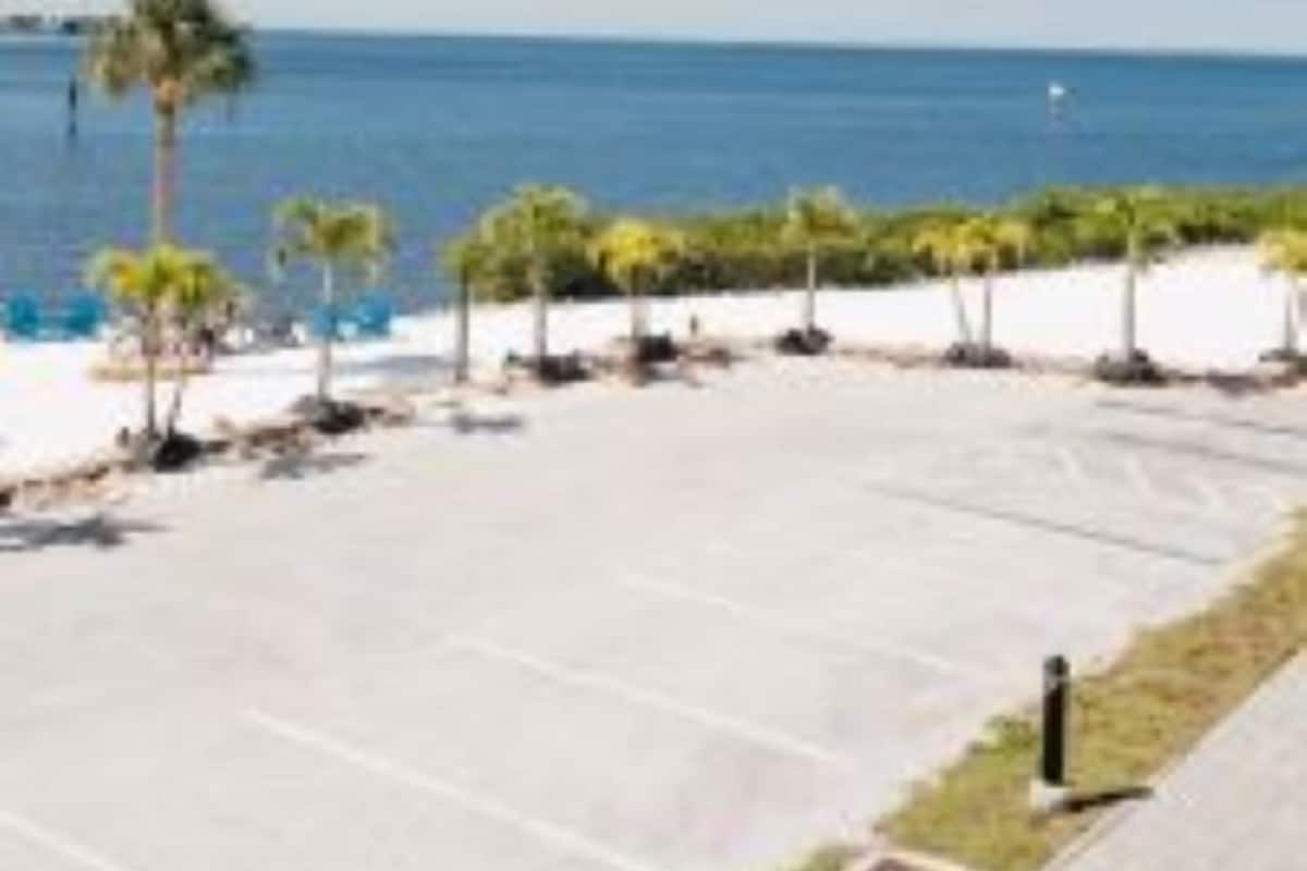 A parking lot with a view of the ocean, palm trees, and a clear sky.