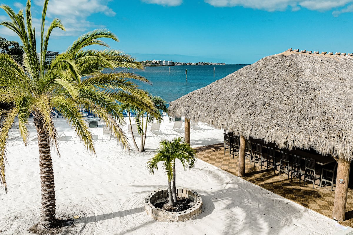 A beach with a thatched-roof structure, palm trees, and a view of the sea.
