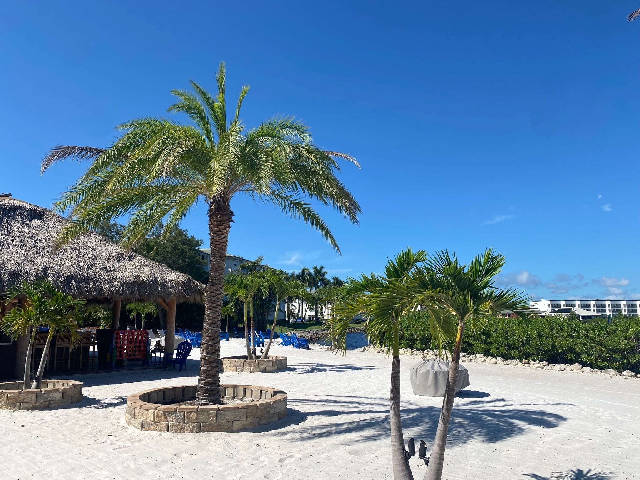 Zona de playa con palmeras, una estructura de techo de paja y una piscina.
