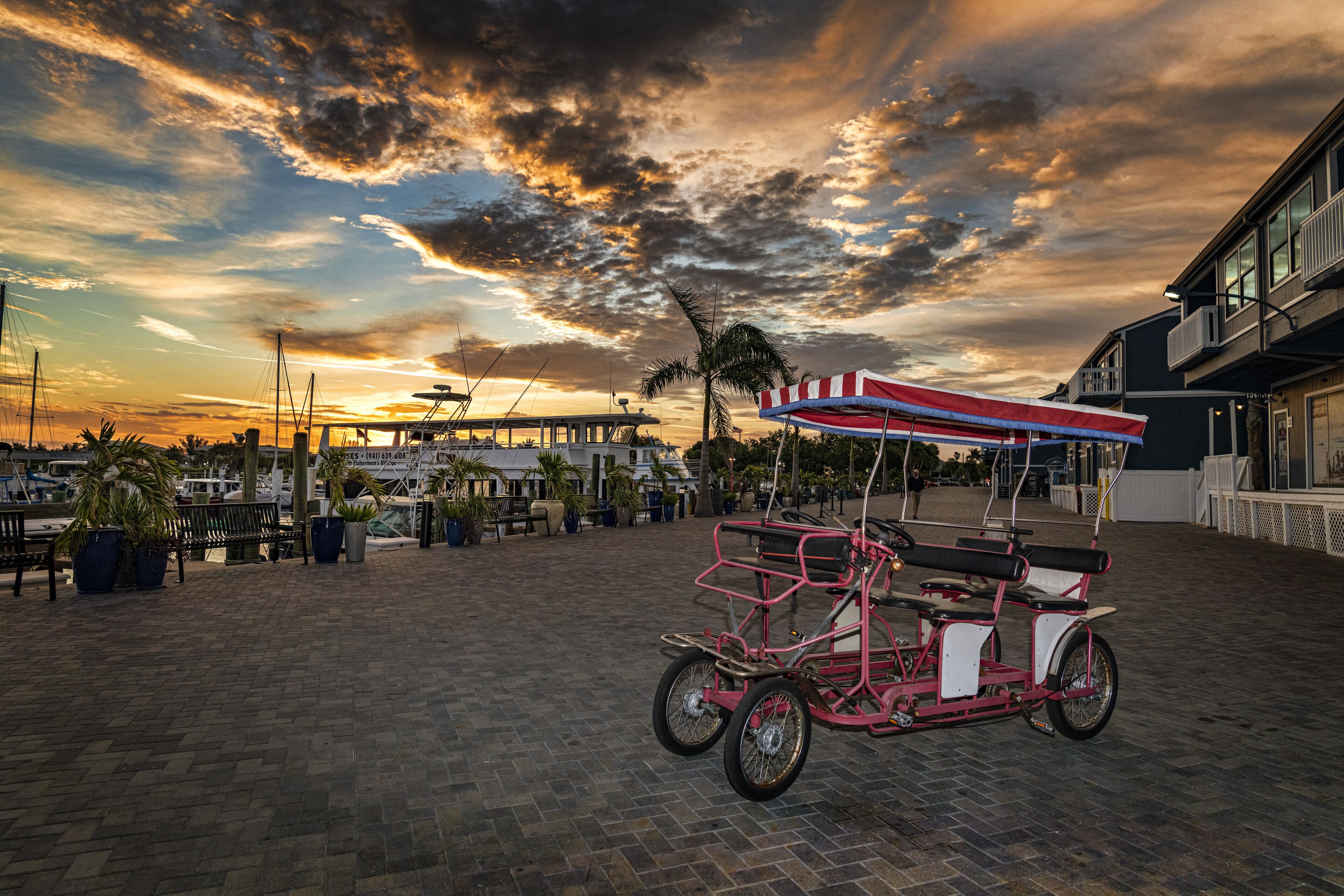 A waterfront area with a red and white cart, potted plants, and a sunset sky.