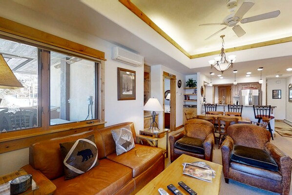 TV, fireplace, DVD player