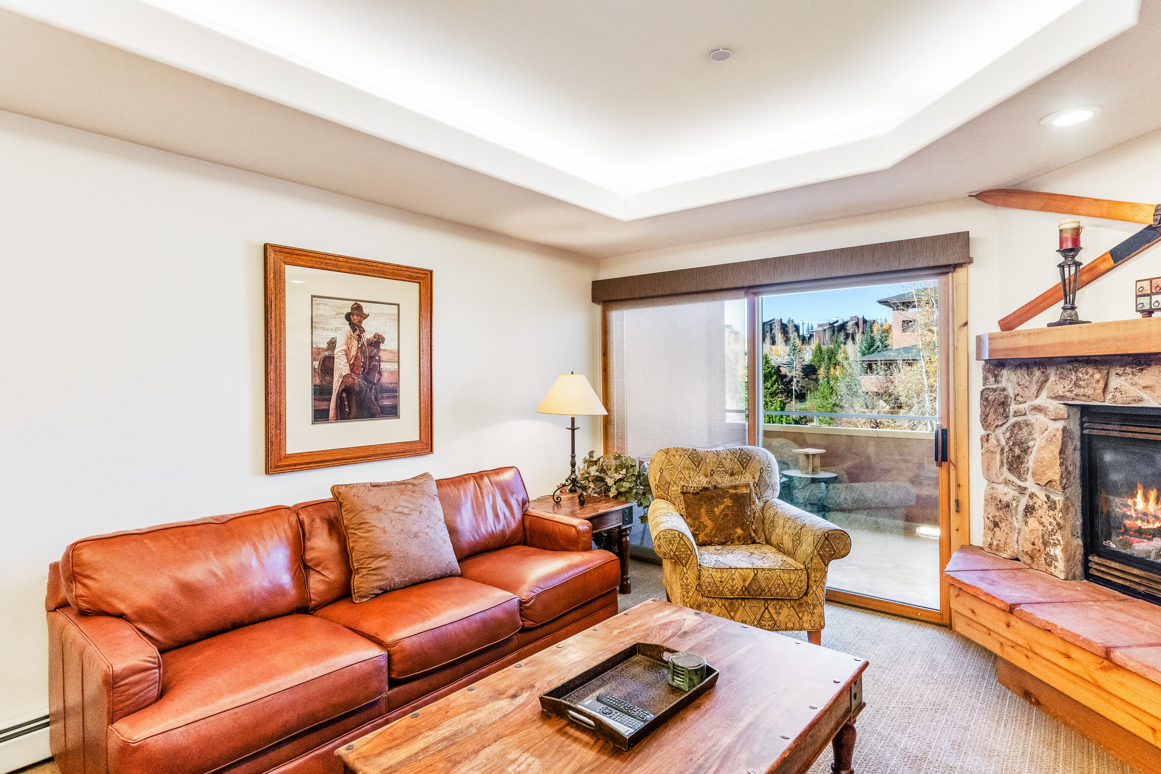 TV, lareira, DVD player