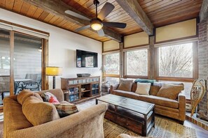 TV, fireplace, DVD player