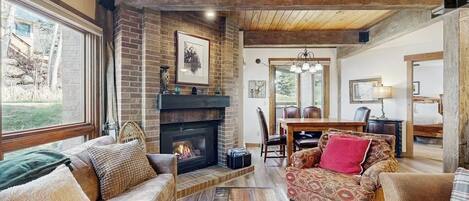 Télévision, cheminée, lecteur de DVD